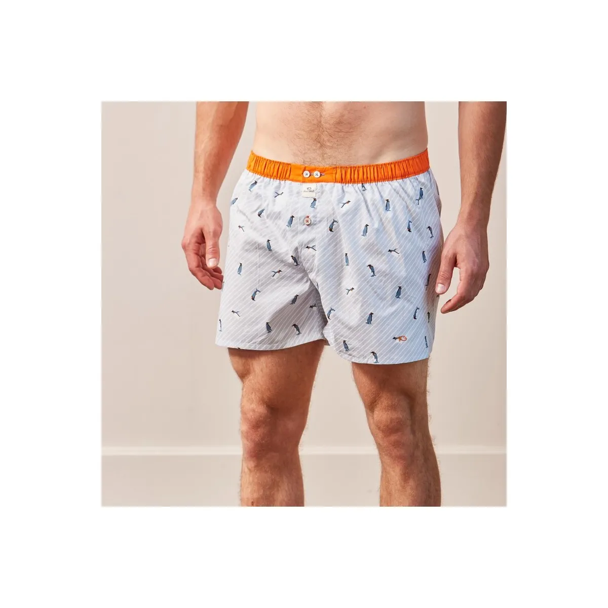 BillyBelt - Caleçon coton bio bleu ciel rayé