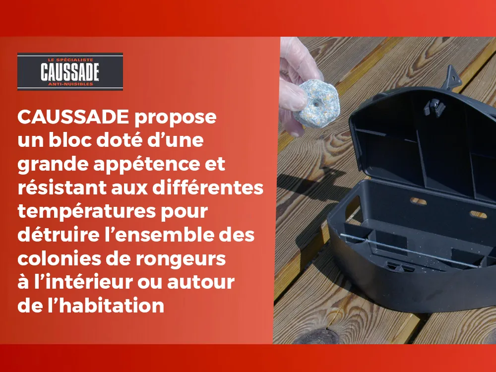 Caussade anti rats & souris - efficacité radicale – tous lieux– 24 blo