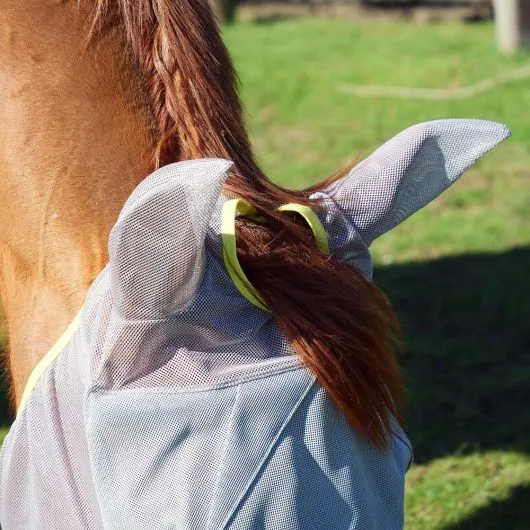 Masque anti-mouche anti-uv cheval avec oreilles Midi - Equilibrium - EQUILIBRIUM - Masques cheval Equilibrium - Equestra