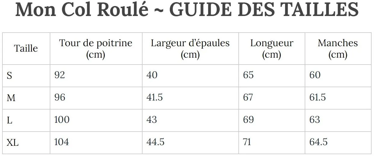 Pull Laine Col Roulé Homme Bleu