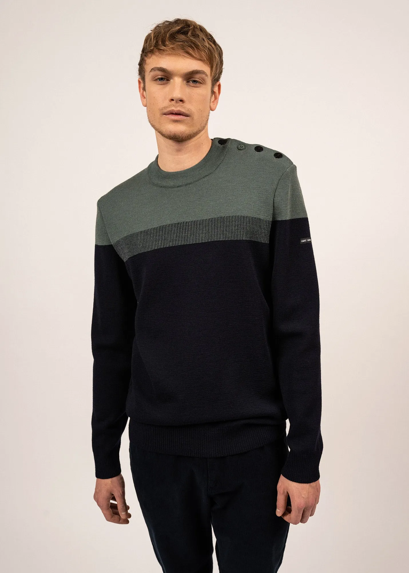 Pull marin Aquitaine - coupe confort, en laine (MARINE/VEGETAL)