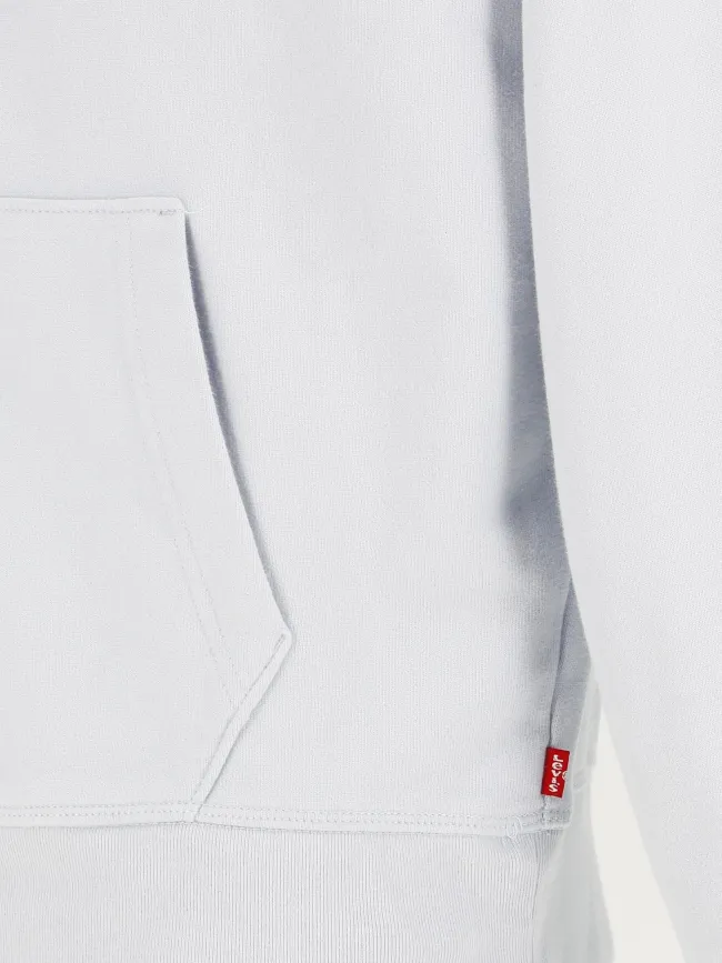 Sweat à capuche graphic standard bleu homme - Levi's | wimod